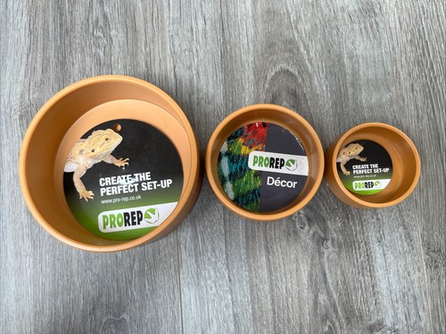 Prorep reptile water dish set - prorep,