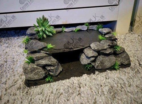 Leopard gecko slate - leopard,