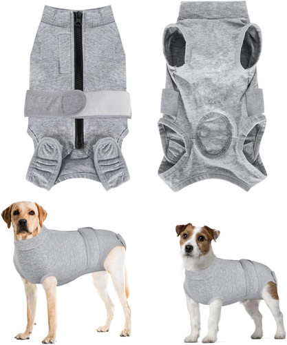 Dog surgery recovery - surgery, suit