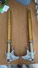 Ohlins Fgrt 813 Forks CBR GSXR