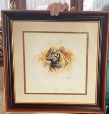 Stunning framed glazed limited Edition print Tiger by Tony Forrest 148/850