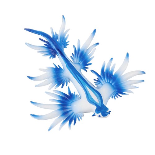 Simulation sea slug model - sea,