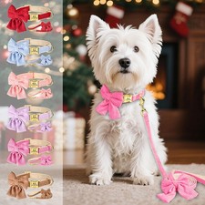 Custom Flower Bow Tie Dog Collar and Leash Set with Personalized Gold Buckle