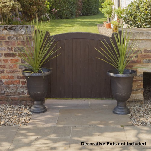 Pair cordyline green palms - of,