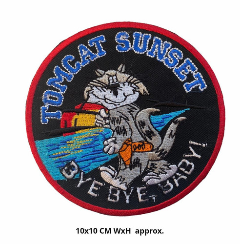 Tomcat sunset navy military - tomcat,