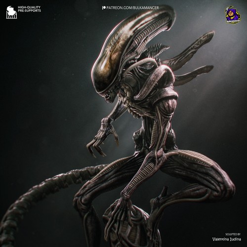 Xenomorph model kit - –, alien