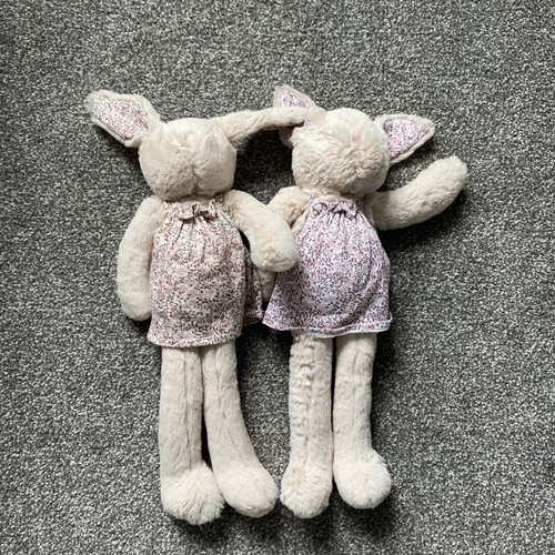 Next bunny rabbit - bunny,