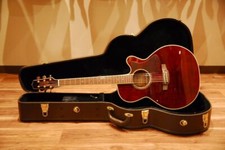 Takamine DMP551C WR Electric