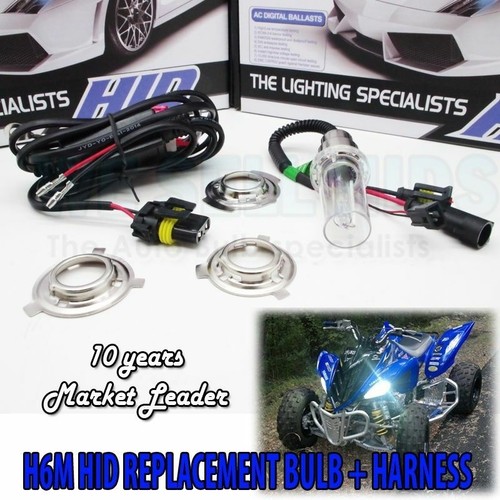 H6m high low 6000k white - 6000k, bulb