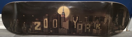 Zoo york night skyline - york,