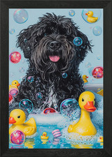 A Bouvier Des Flandres dog