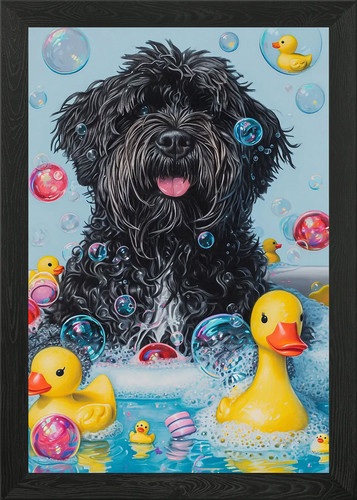 Bouvier des flandres dog - a,