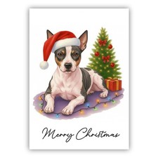 American hairless terrier - hairless,