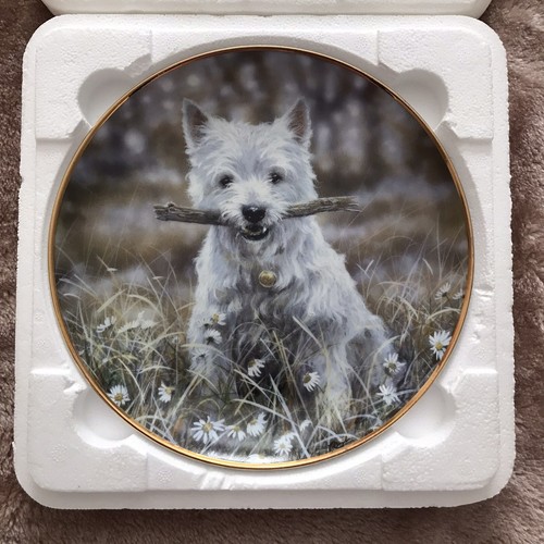 Danbury mint westies let - mint,
