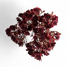 Burgundy Gypsophilia faux