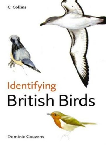 Identifying british birds - identifying,
