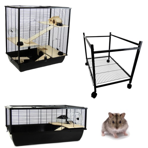 Rat syrian hamster - hamster, cages