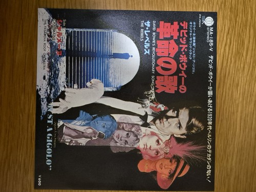 David bowie revolutionary - david,