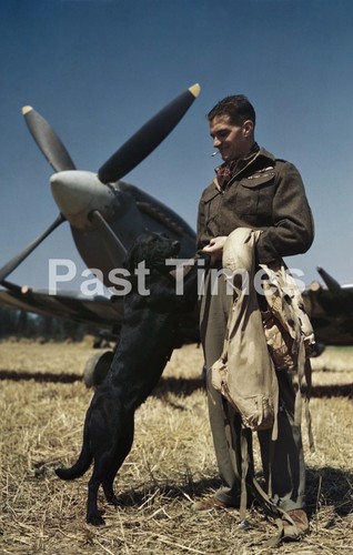1228 wwii raf fighter ace - wwii,