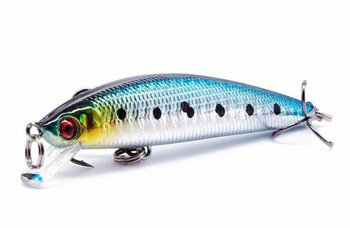 Minnow fishing lure - minnow,