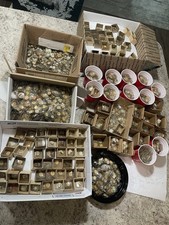 LOT 14 Lbs 4500. +~ GLASS &