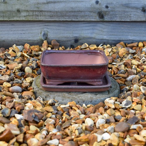 Bonsai pot and - and, ceramic