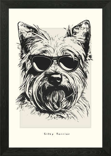 Silky terrier sketch - silky,