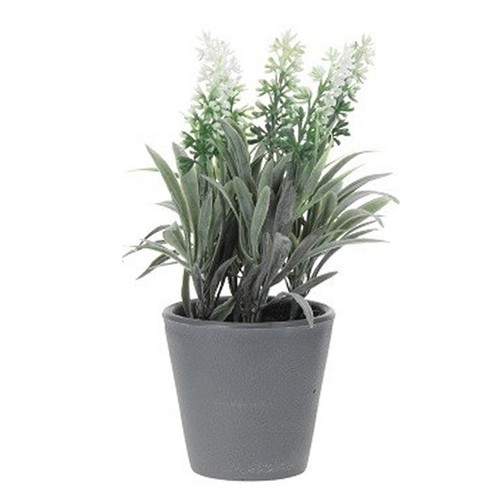 Artificial lavender plants - plants, in