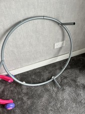 Fisher Price Roaring