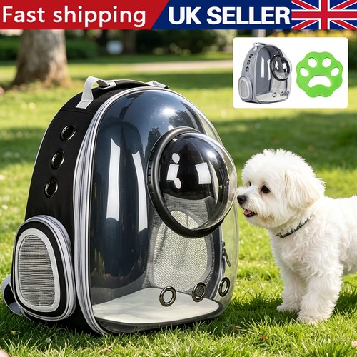 Astronaut bubble window dog - astronaut,