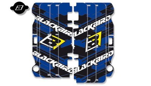 Blackbird graphics 13 - graphics, 10-13