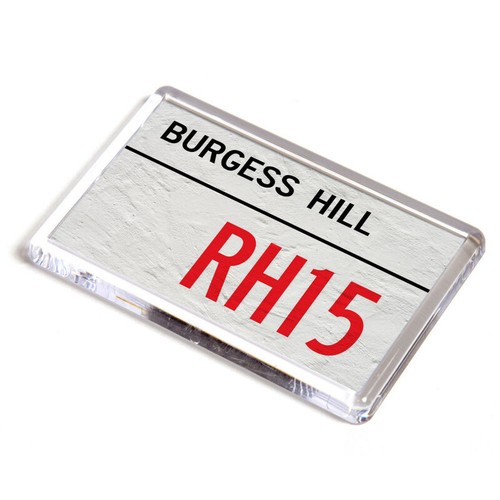 Fridge magnet burgess - fridge,