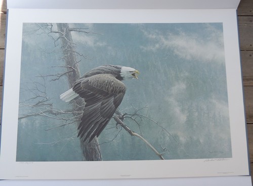 Robert bateman the air forest - bateman,