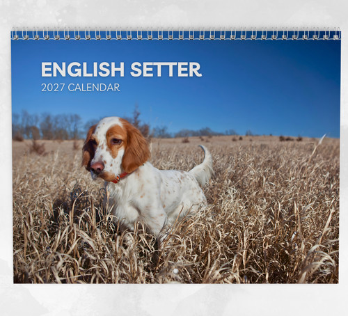 English setter calendar 2027 - setter,