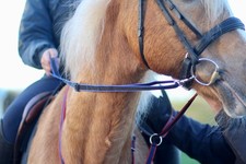 Official Libby's Loop Handled