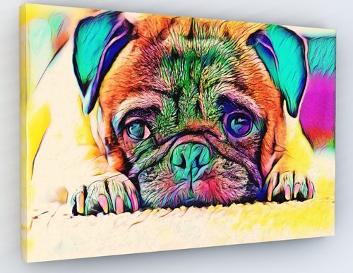 Cute pug puppy eyes dog - eyes,