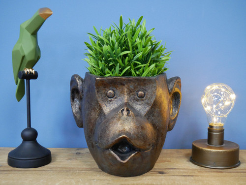Monkey head planter - planter, animal