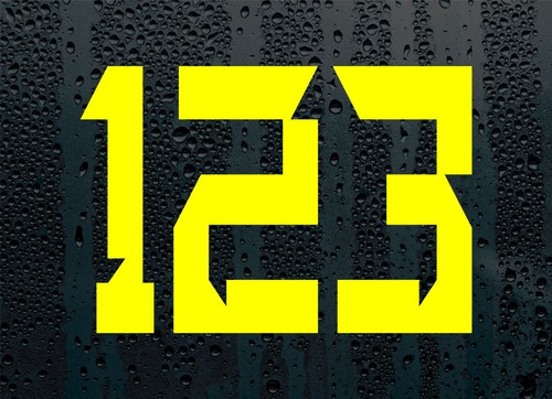 Custom race numbers vinyl - custom, x3