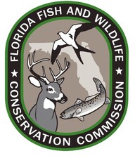 Florida Fish and Wildlife