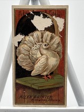 1888 Allen & Ginter Birds of