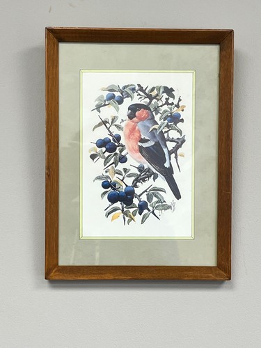 Vintage 1977 framed f - vintage, c.f