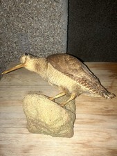 Woodcock On Wall Fixture