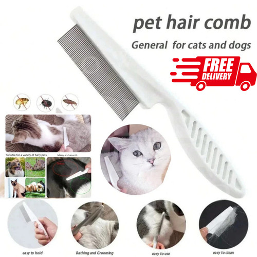 Pet dog cat - pet, puppy