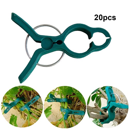 20x garden plant - garden,