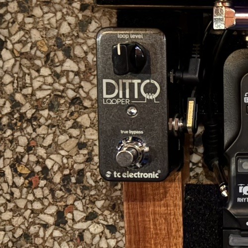 Electronic ditto looper - ditto,