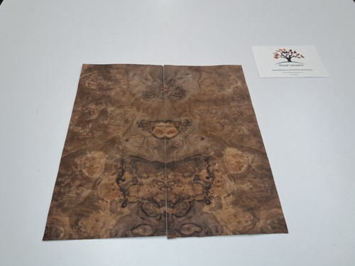 Burr walnut veneer - burr, 2