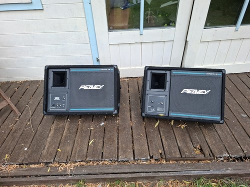 Pair peavey eurosys 1m - eurosys,