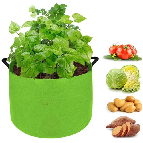 Green potato sacks - green,