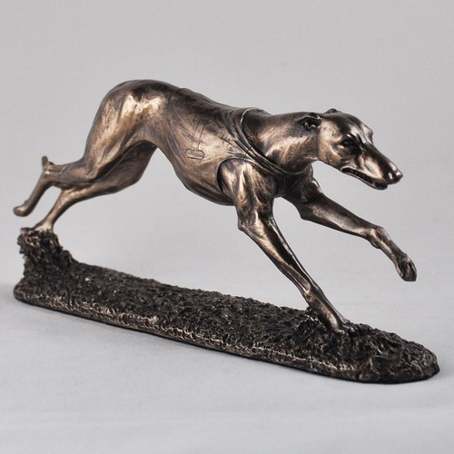 Greyhound racing cold - cold, cast