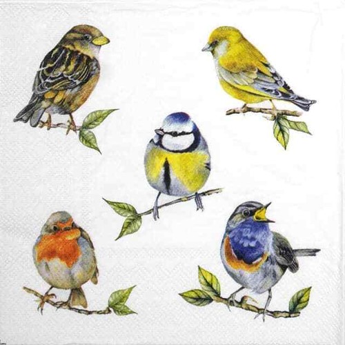 Single lunch paper napkins - 4x,